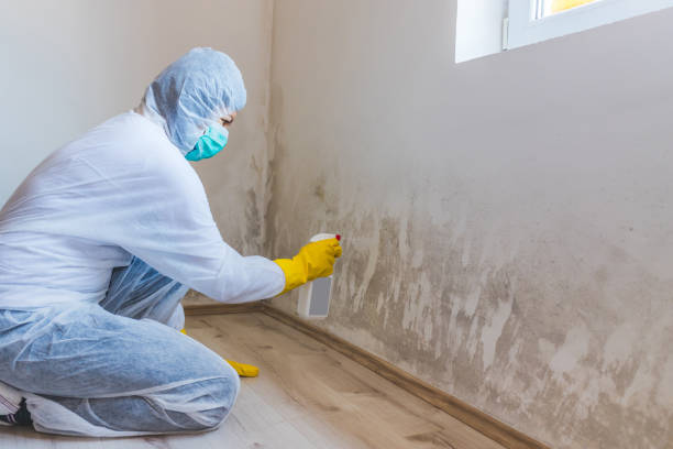 Best Commercial Mold Removal  in Aspermont, TX