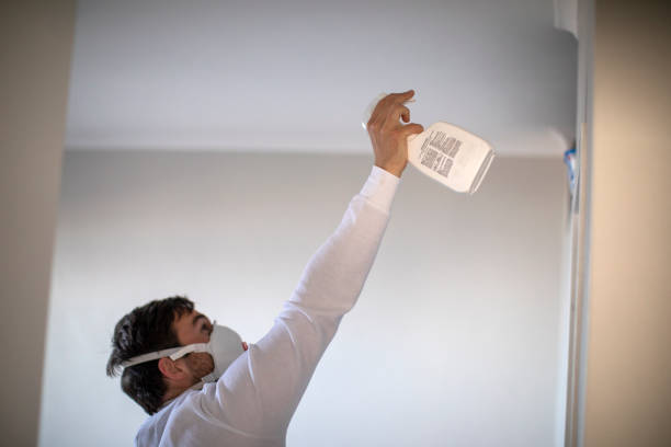 Trusted Aspermont, TX Mold Removal Experts