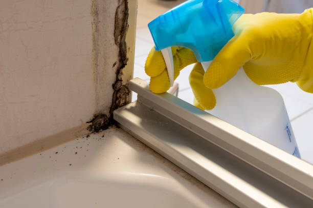 Best Mold Remediation  in Aspermont, TX