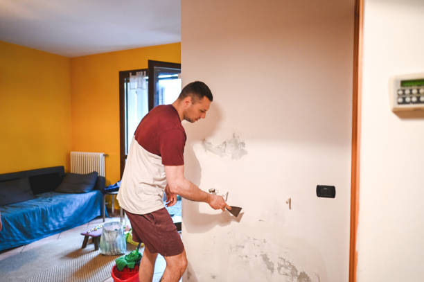 Best Mold Removal Company Near Me  in Aspermont, TX