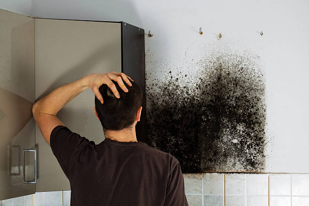 Best Commercial Mold Removal  in Aspermont, TX
