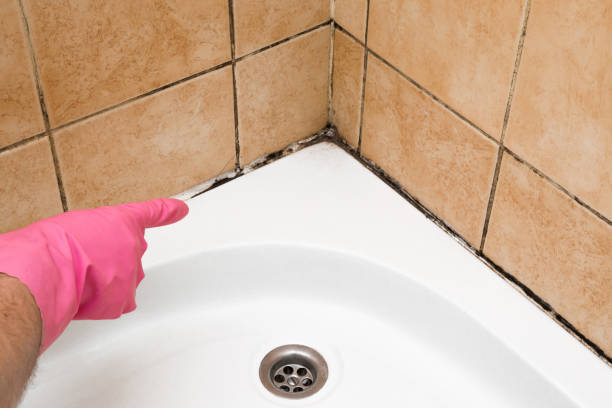 Home Mold Removal in Aspermont, TX